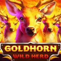 KONOHA88 - Goldhorn Wild Herd | nikmati keberuntungan anda
