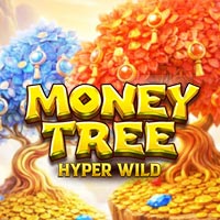 KONOHA88 - Money Tree - Hyper Wild | nikmati keberuntungan anda