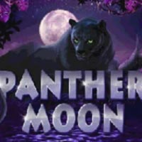 KONOHA88 - Panther Moon | nikmati keberuntungan anda