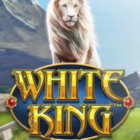 KONOHA88 - White King | nikmati keberuntungan anda