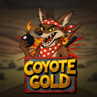 KONOHA88 - Coyote Gold | nikmati keberuntungan anda