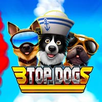 KONOHA88 - 3 Top Dogs | nikmati keberuntungan anda
