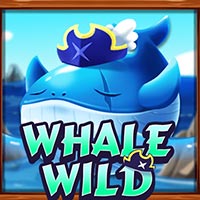 KONOHA88 - Whale Wild | nikmati keberuntungan anda