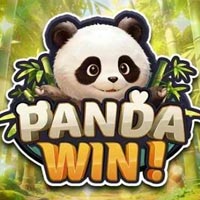 KONOHA88 - Panda Win! | nikmati keberuntungan anda