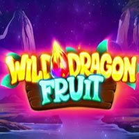 KONOHA88 - Wild Dragon Fruit | nikmati keberuntungan anda