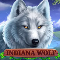 KONOHA88 - Indiana Wolf | nikmati keberuntungan anda