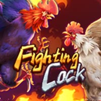 KONOHA88 - Fighting Cock | nikmati keberuntungan anda