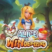 KONOHA88 - Alice in Winderland | nikmati keberuntungan anda