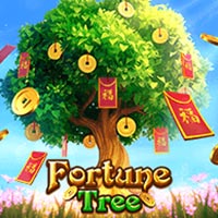 KONOHA88 - Fortune Tree | nikmati keberuntungan anda